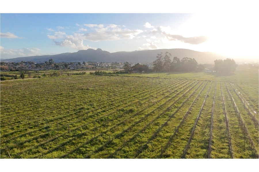 0 Bedroom Property for Sale in Klein Nederburg Western Cape